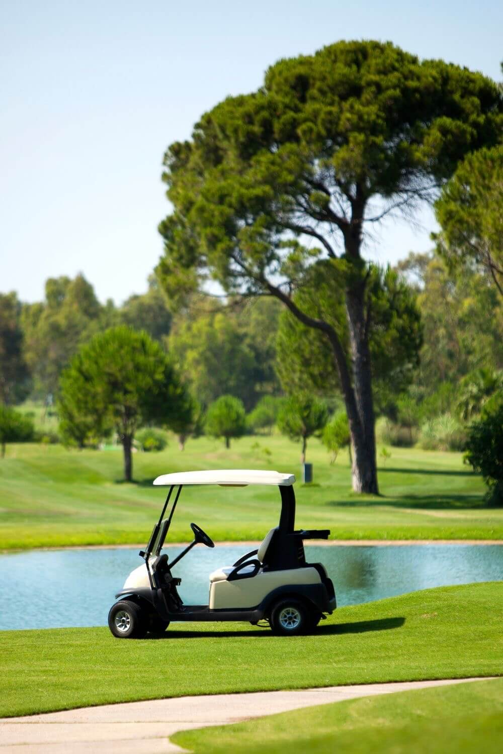Golf cart rental